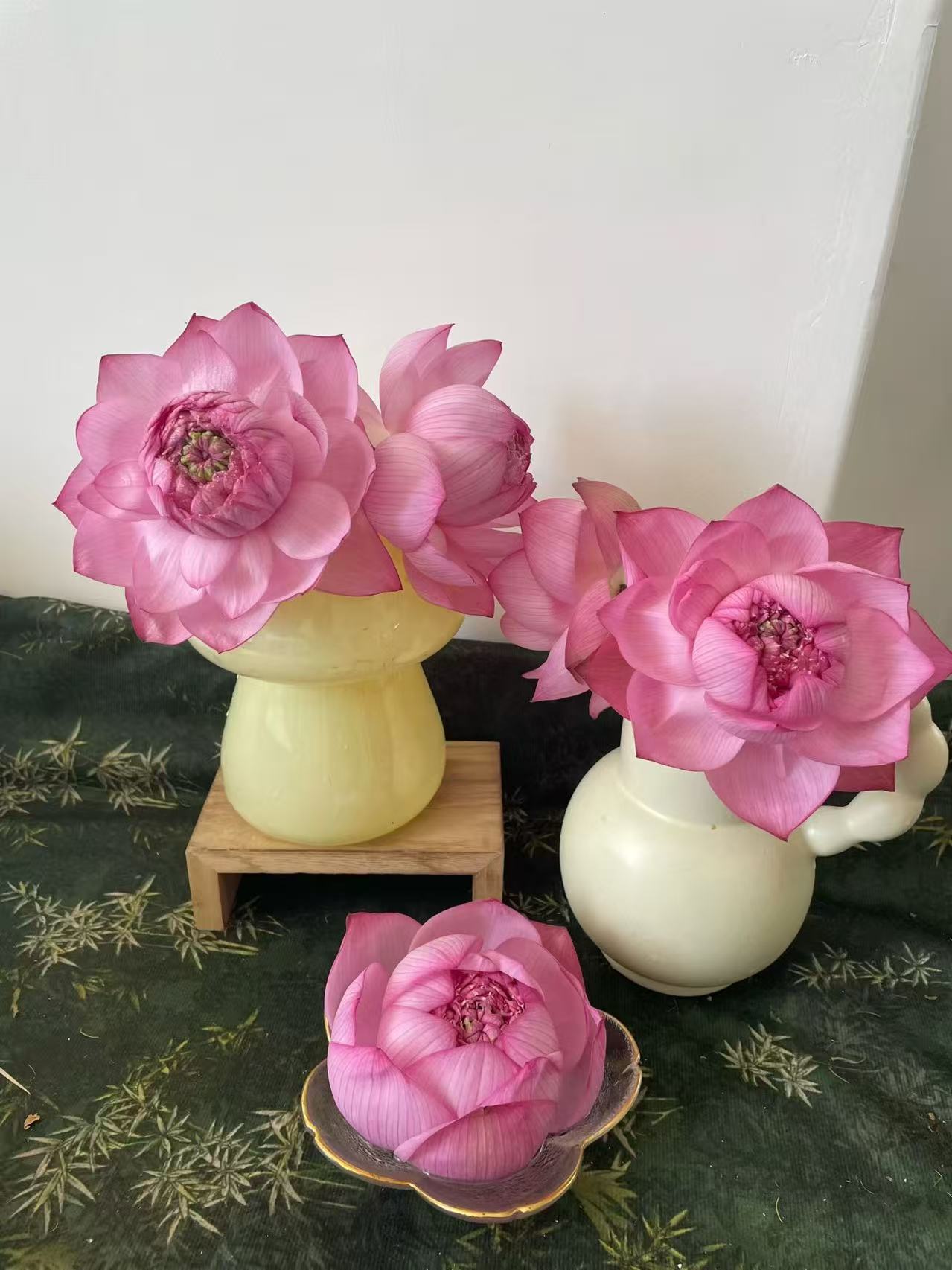 蔓塔花木工作室