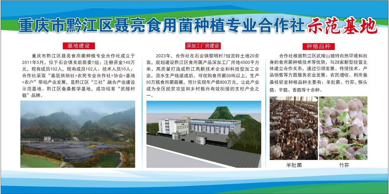重庆市黔江区聂亮食用菌合作社