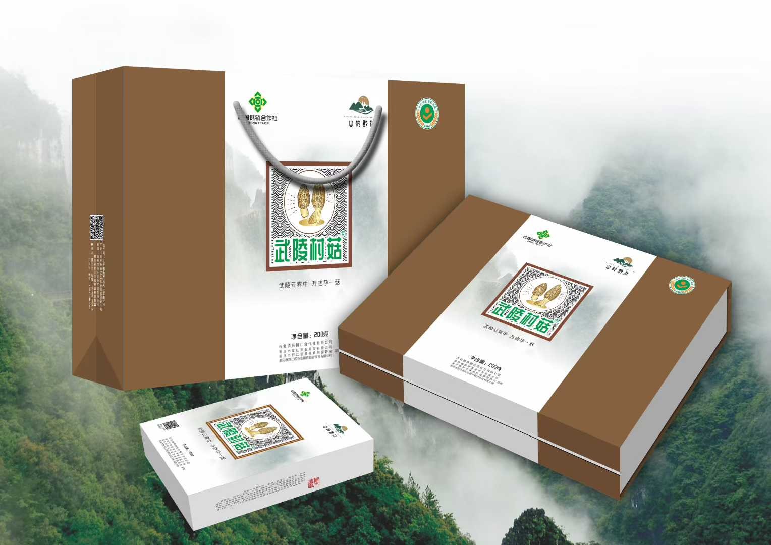 重庆市黔江区聂亮食用菌合作社