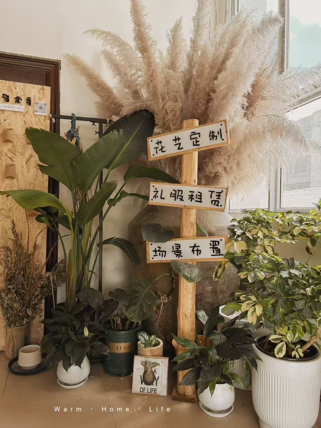 蔓塔花木