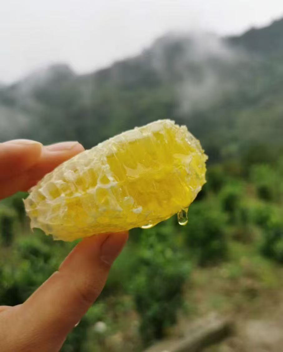 周到蜜蜂