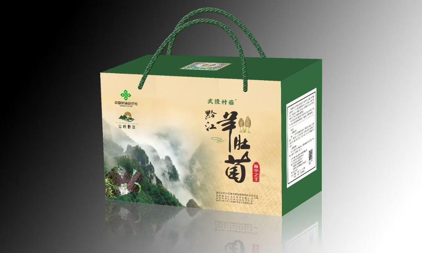 聂亮食用菌